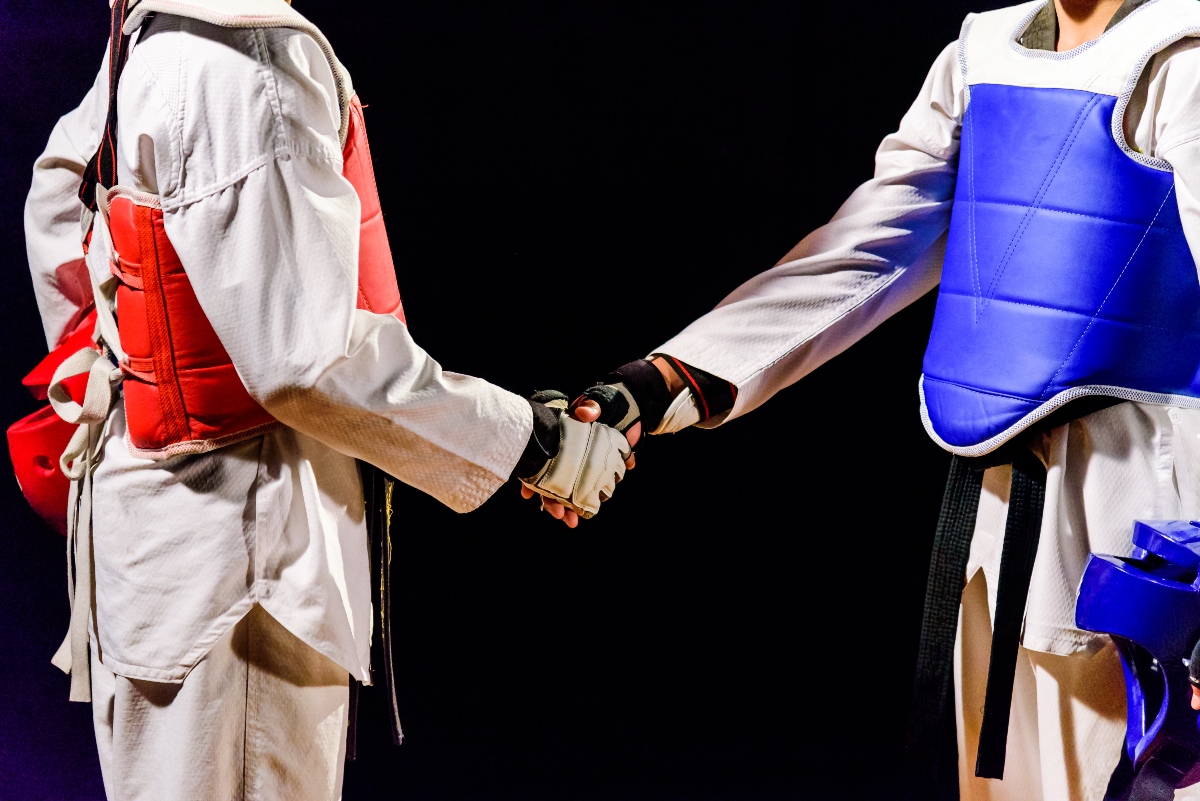taekwondo: tecnica e regolamento gare