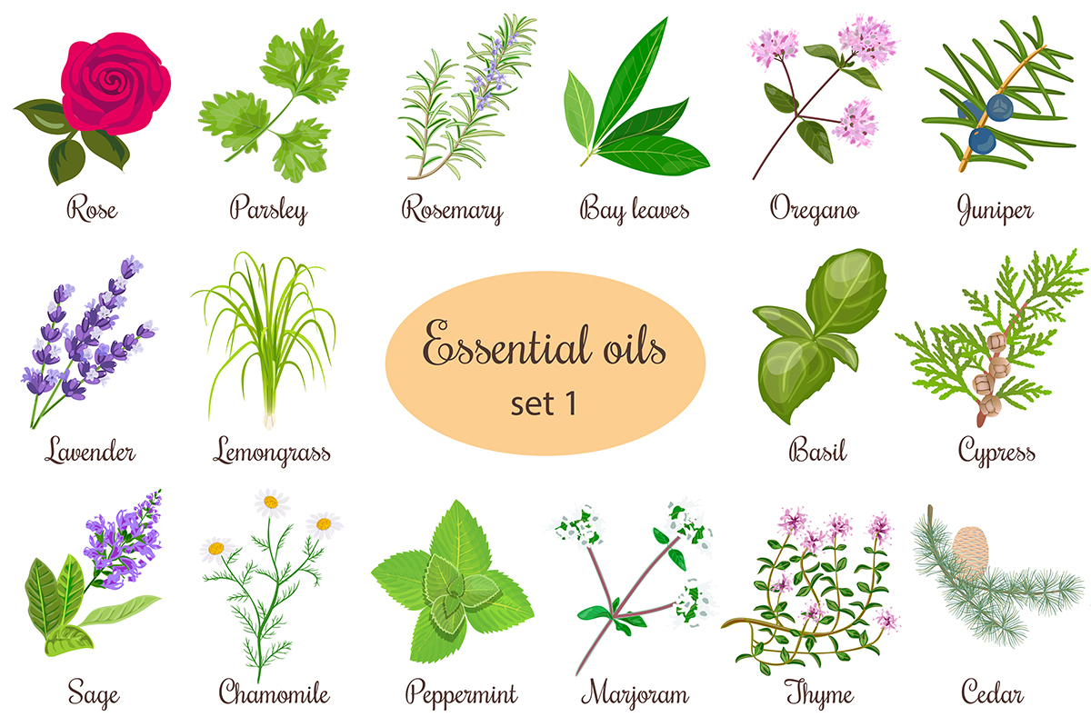 aromaterapia oli essenziali