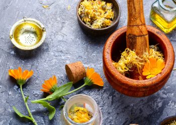 calendula: cos'è, benefici, ricette cosmetiche, guida all'acquisto