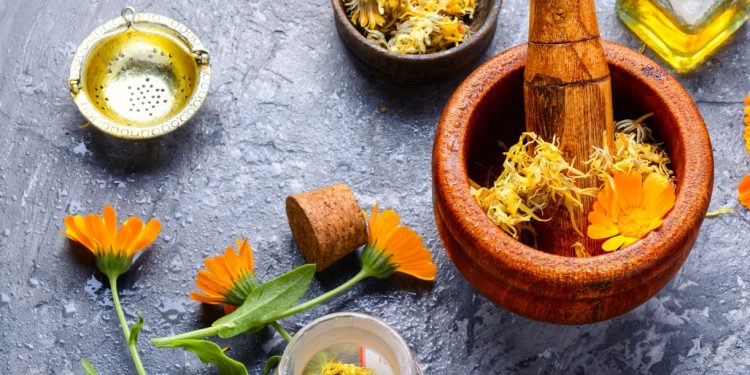 calendula: cos'è, benefici, ricette cosmetiche, guida all'acquisto