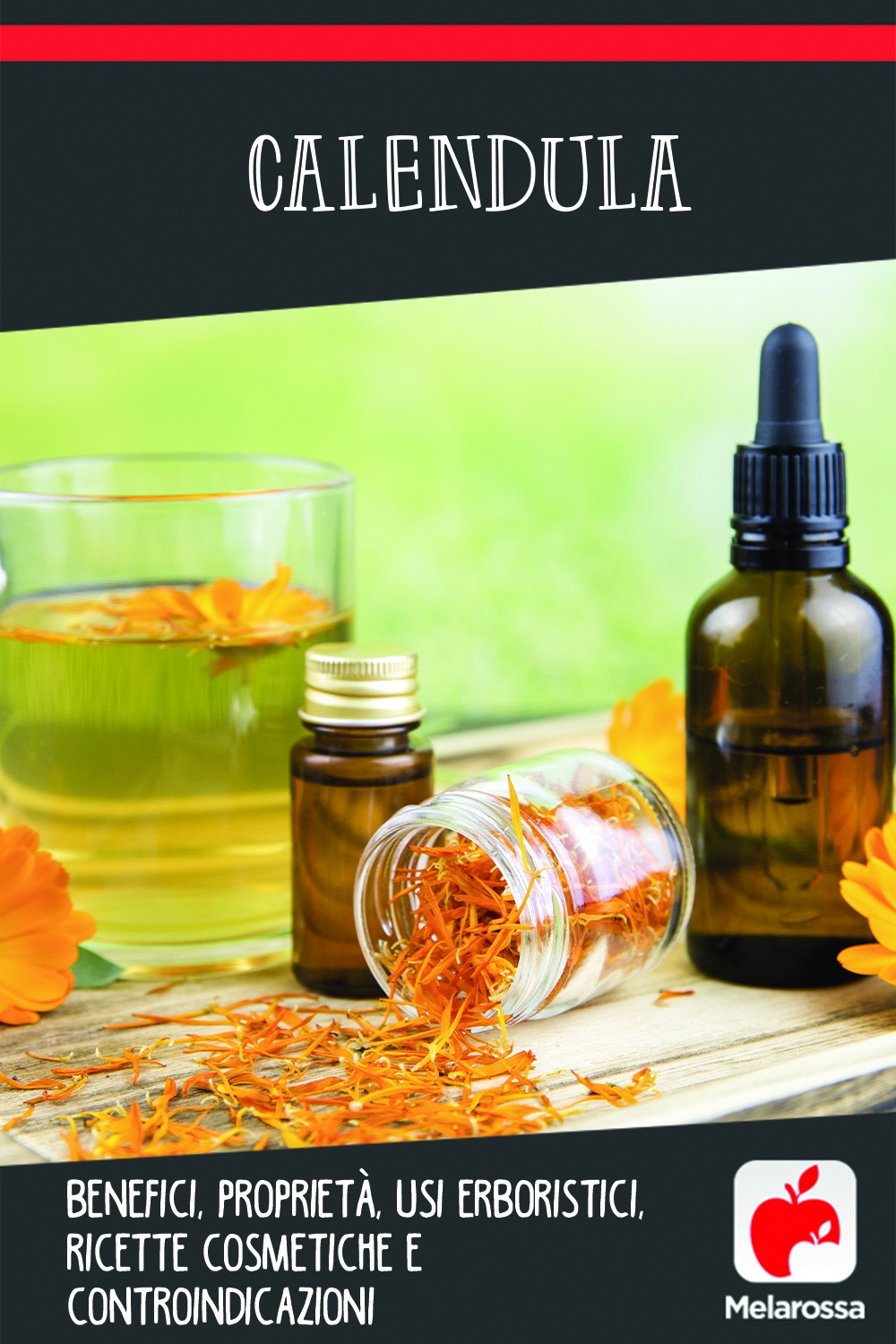 calendula: cos'è, benefici, ricette cosmetiche, controindicazioni