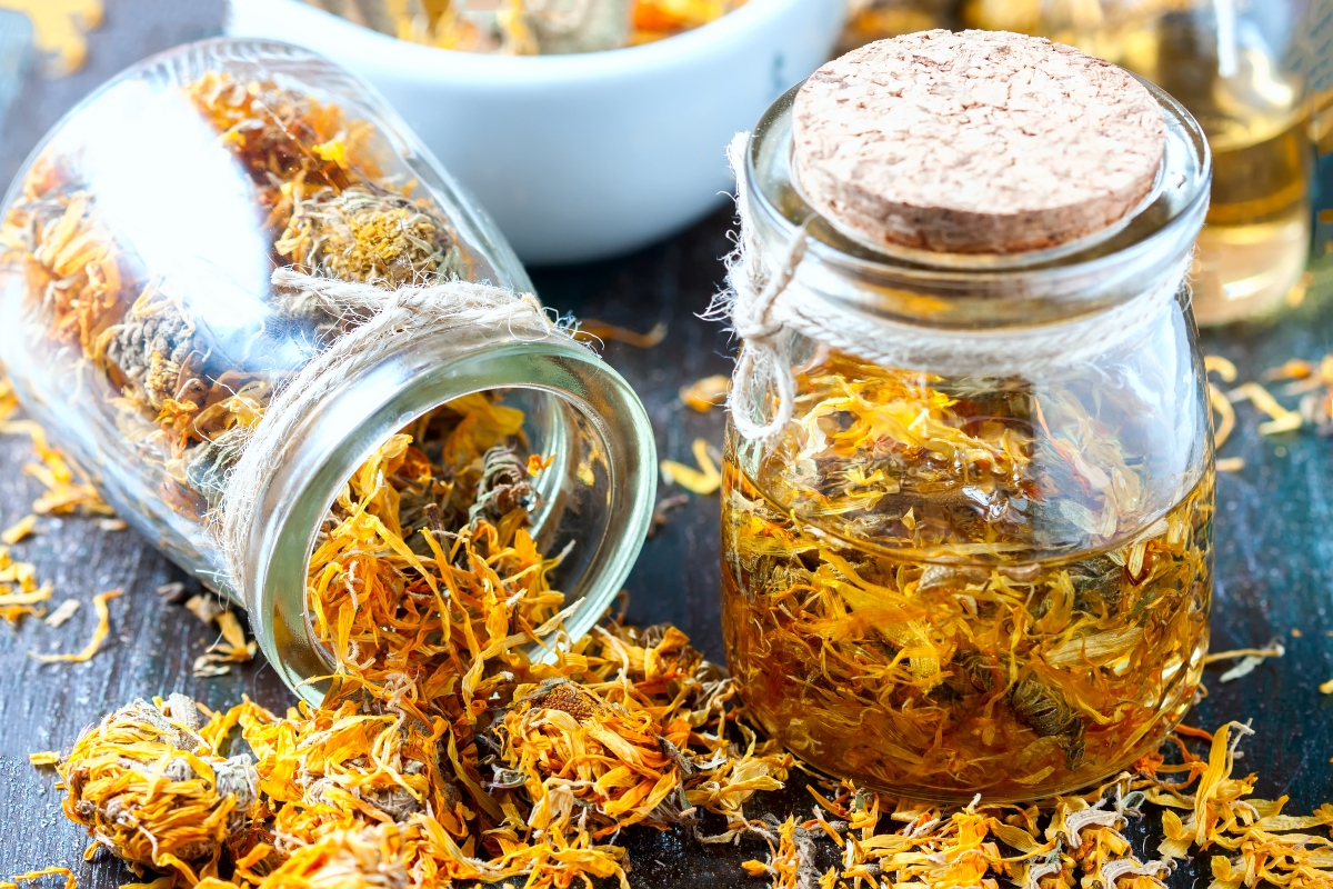 calendula: proprietà medicinali 