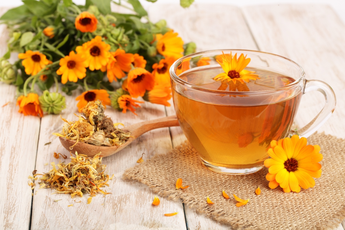 calendula: tisana