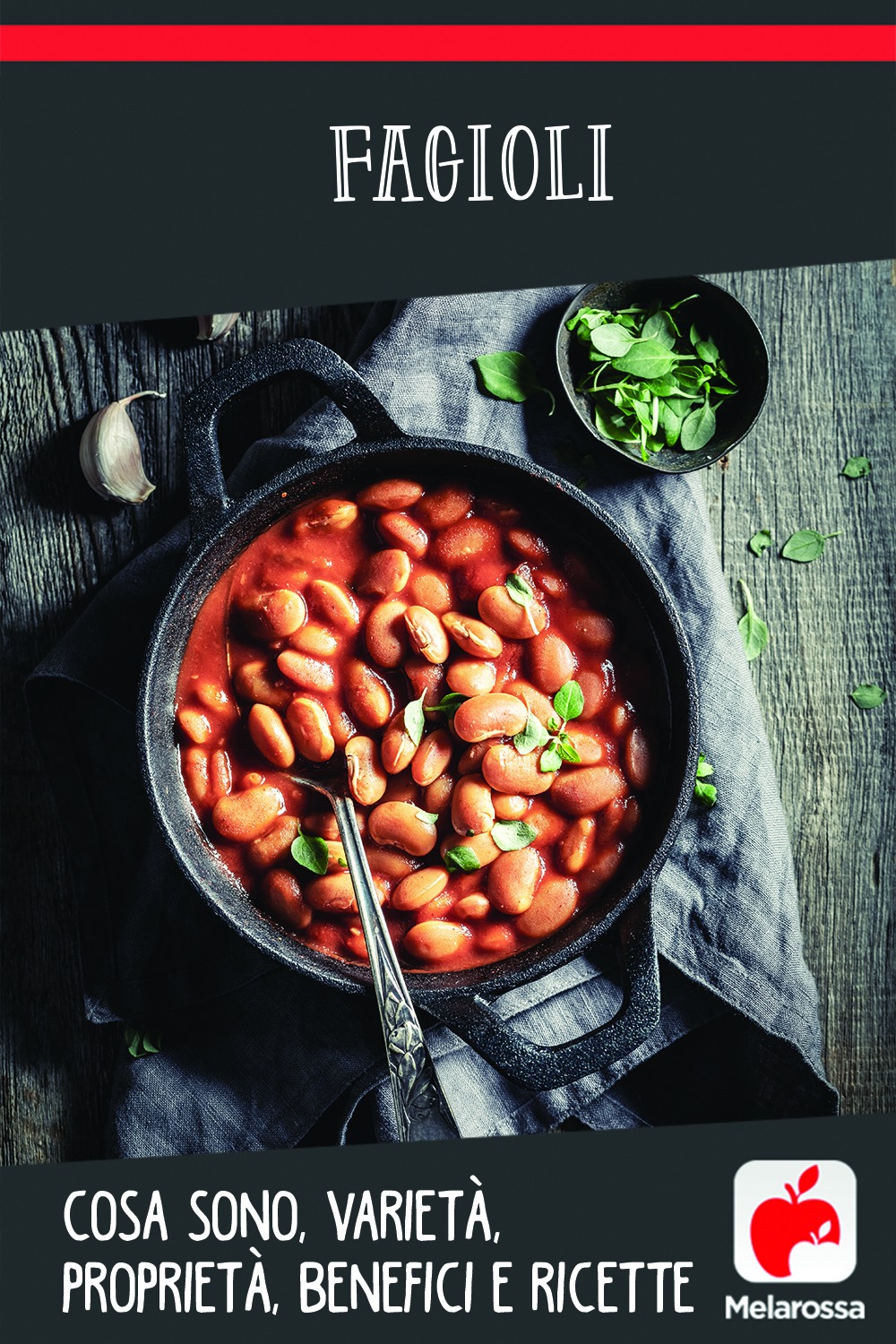 fagioli: cosa sono, benefici, ricette