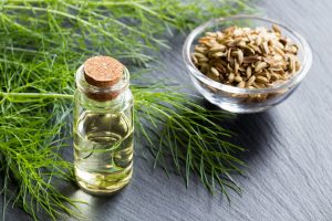 Nutrizione 7 Finocchietto selvatico: proprietà, benefici e usi in cucina
