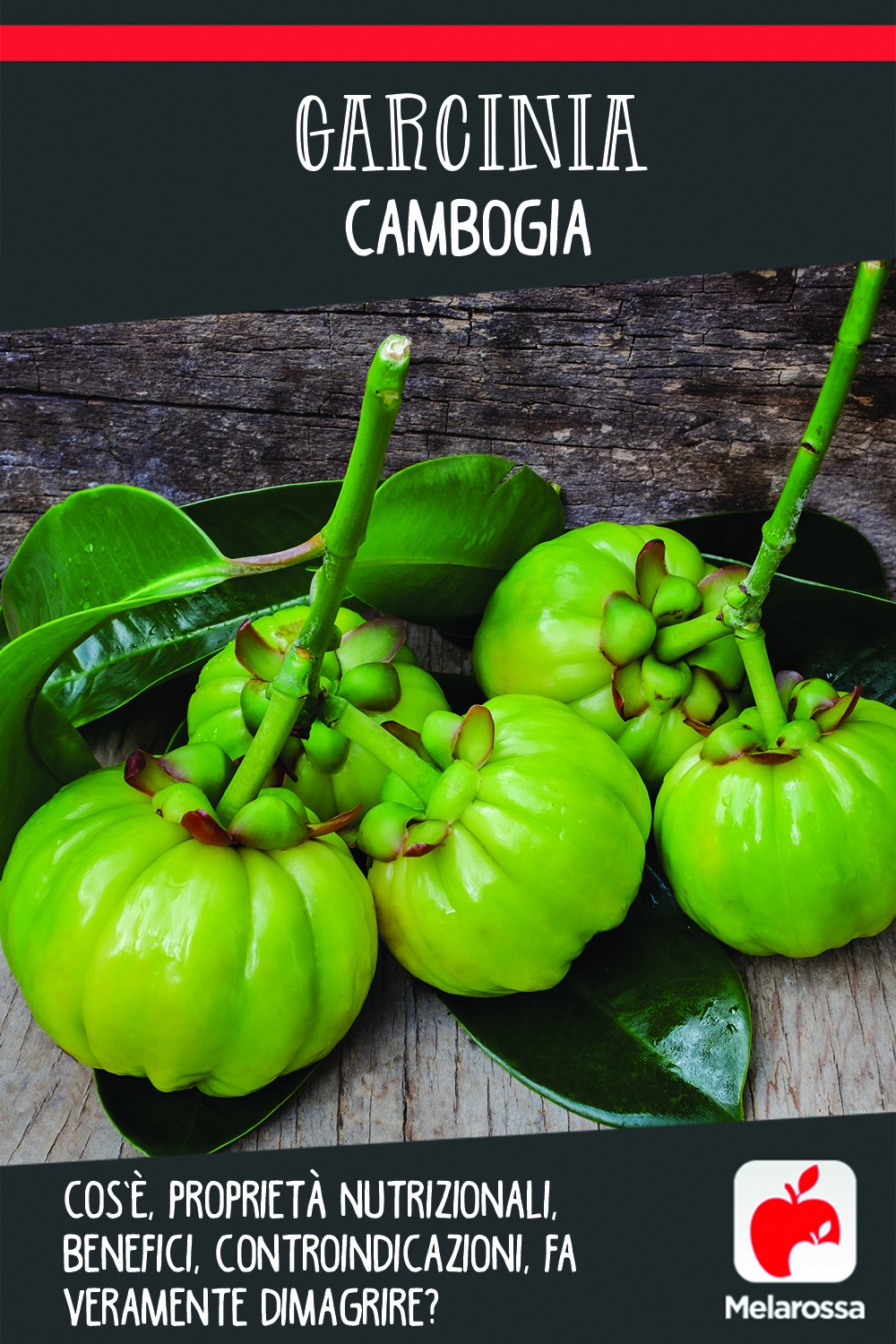garcinia cambogia fa veramente dimagrire?
