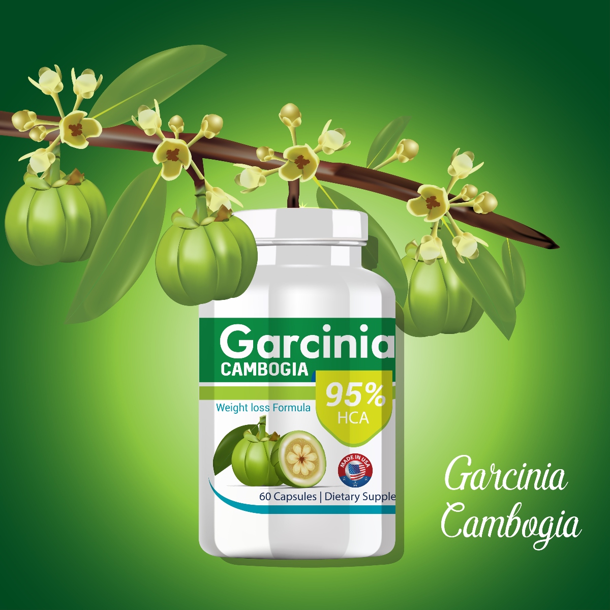 garcinia cambogia: integratore dimagrante