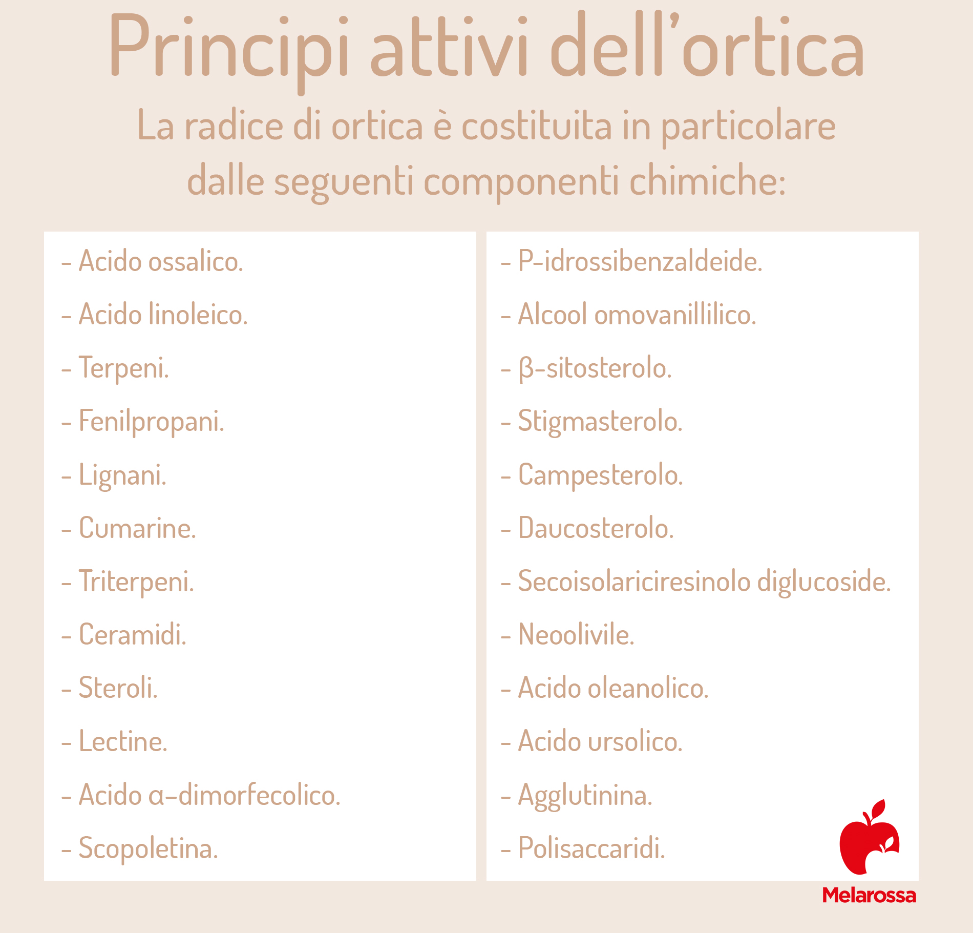 Principi attivi dell'ortica