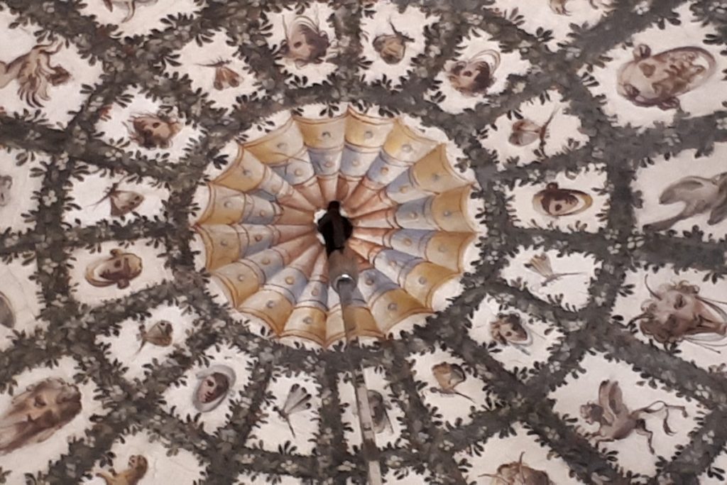 palazzo vecchio particolare di soffitto