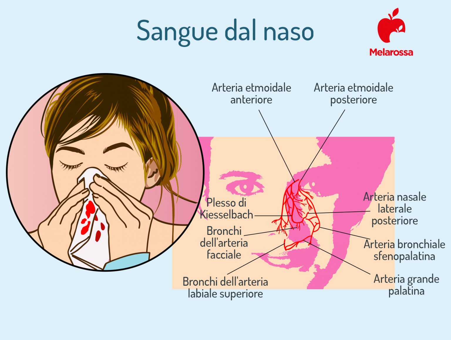 Sangue Dal Naso Cane Anziano Sangue dal naso o epistassi: che cos’è, cause, sintomi, cure e trattamenti