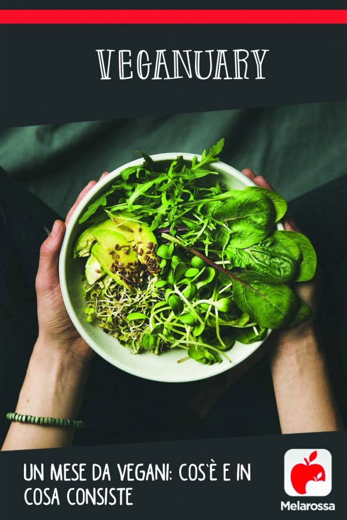 veganuary 1