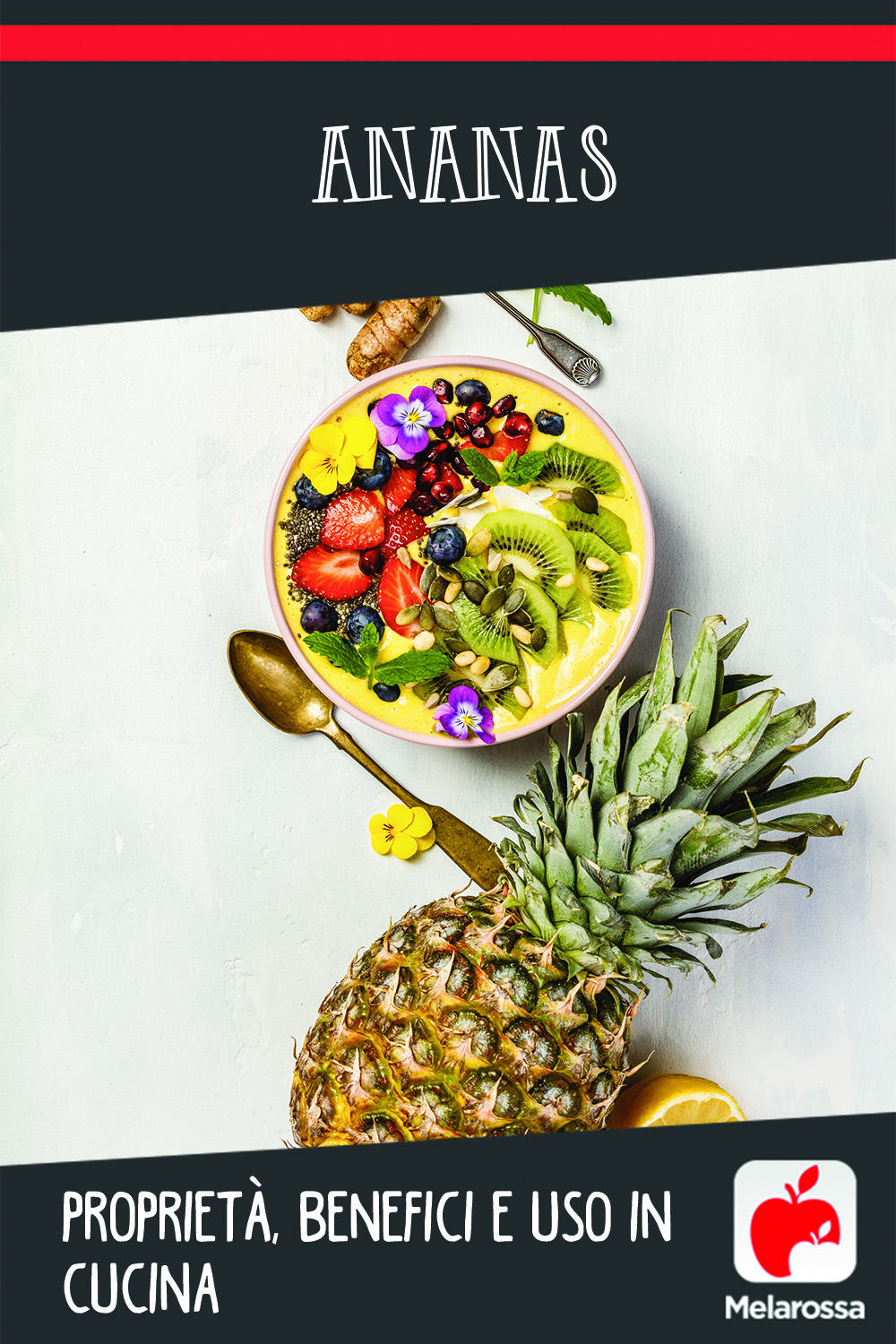Ananas proprietà, benefici e uso in cucina