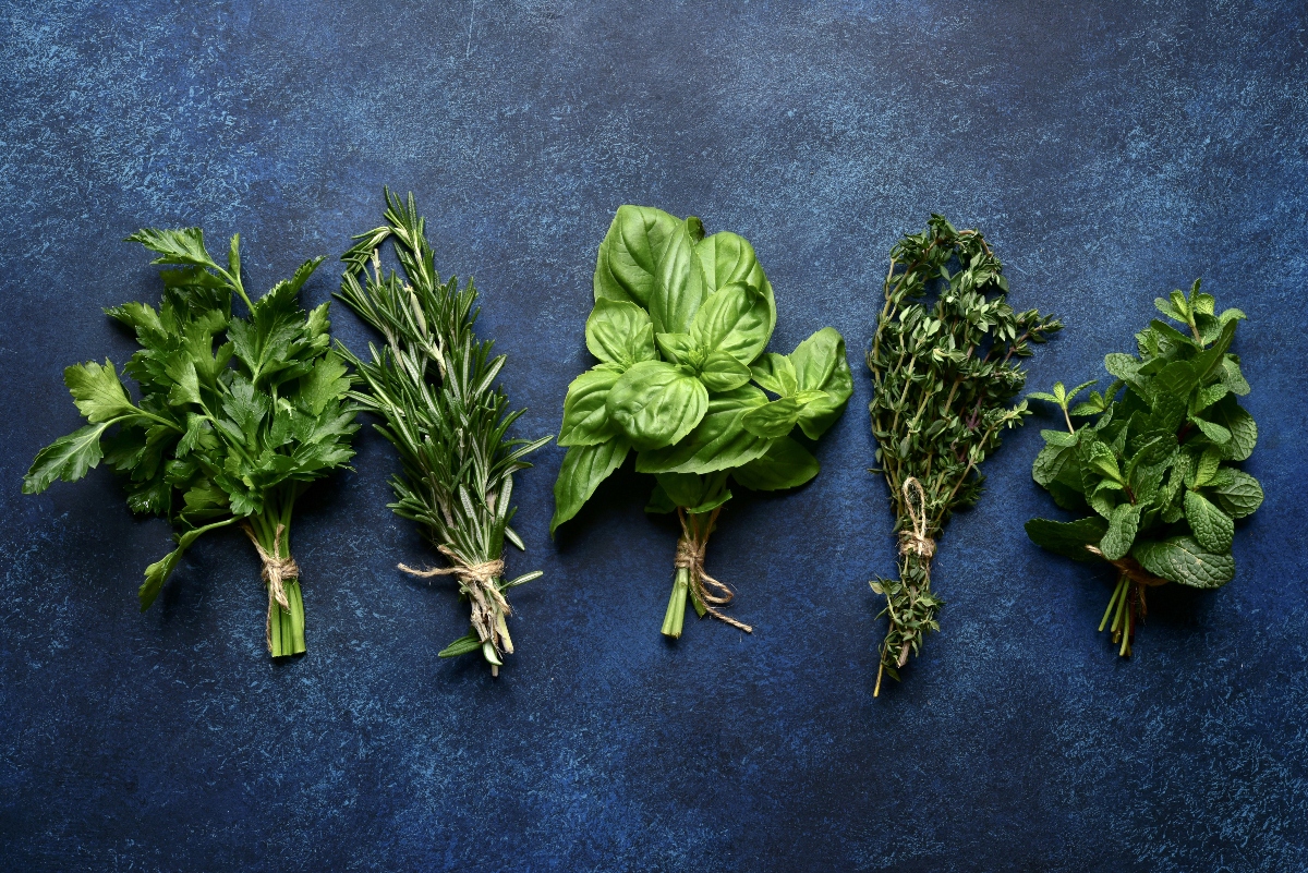 benefici e proprietà delle erbe aromatiche