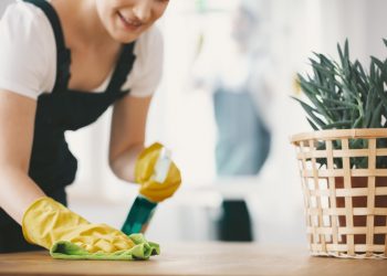 cleaning influencer famosi