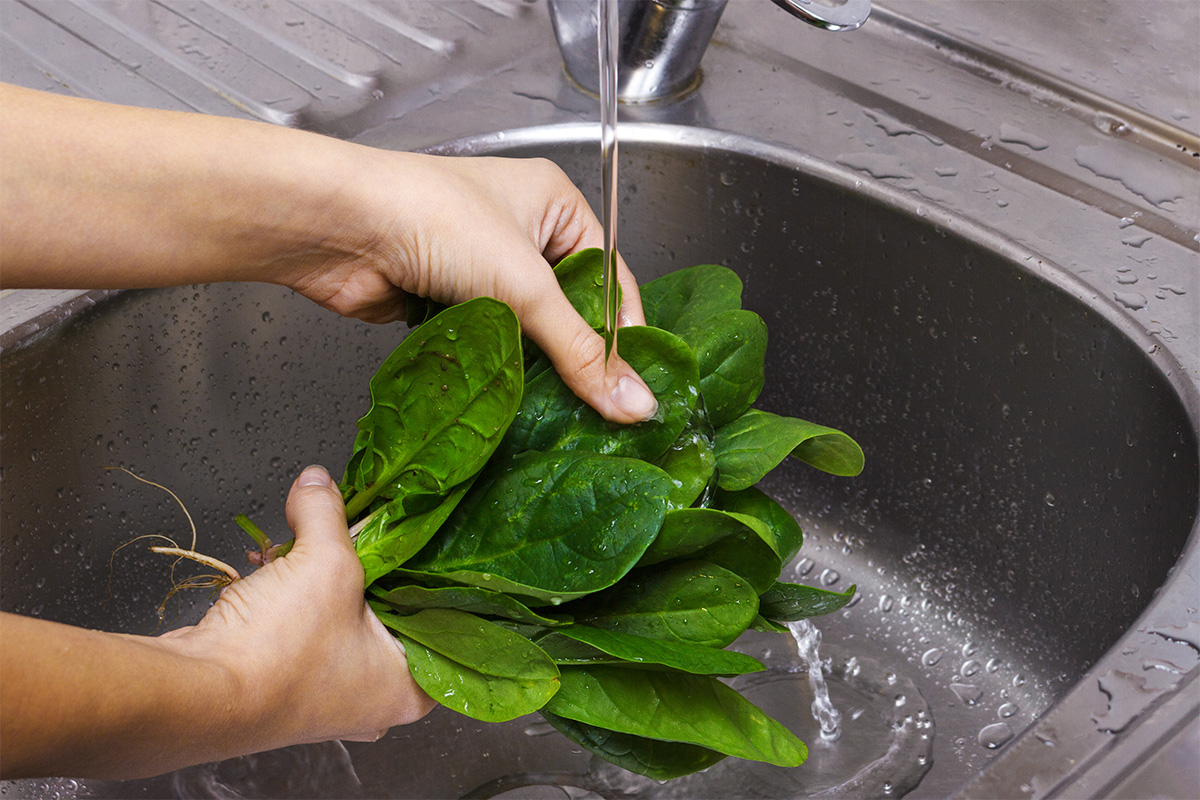 come lavare e cucinare gli spinaci