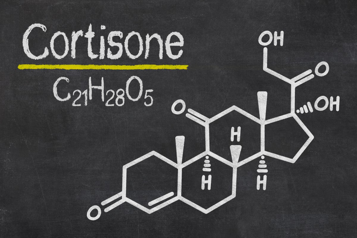 cortisone chimica