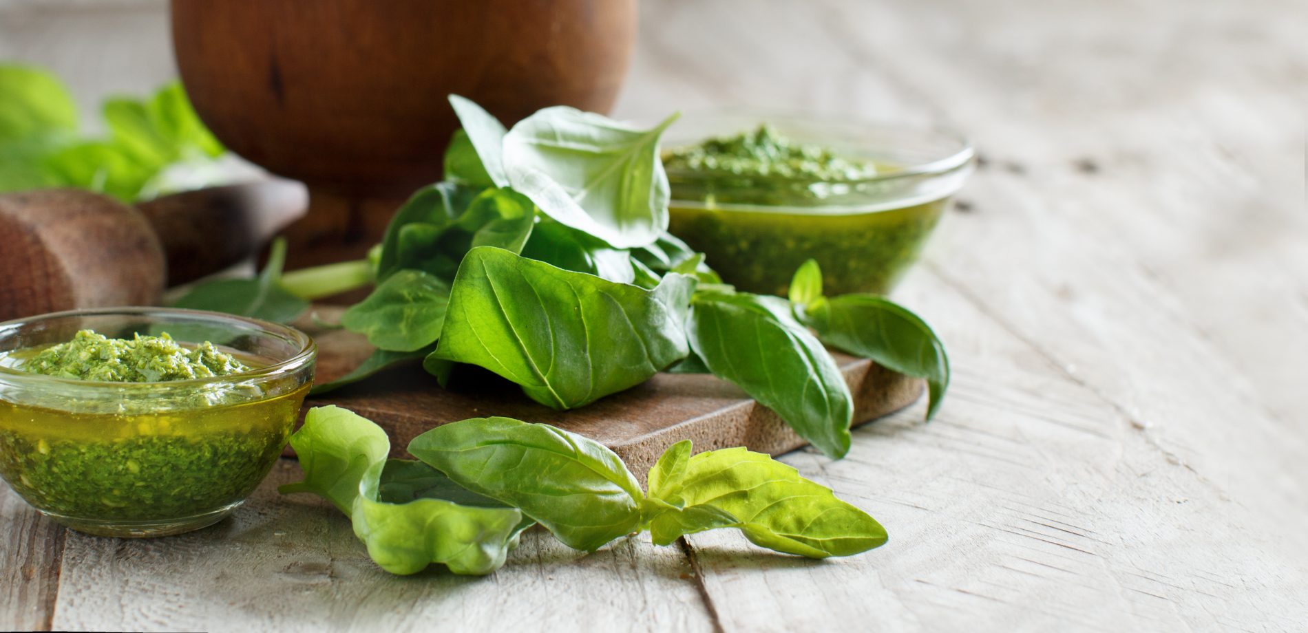 erbe aromatiche: basilico