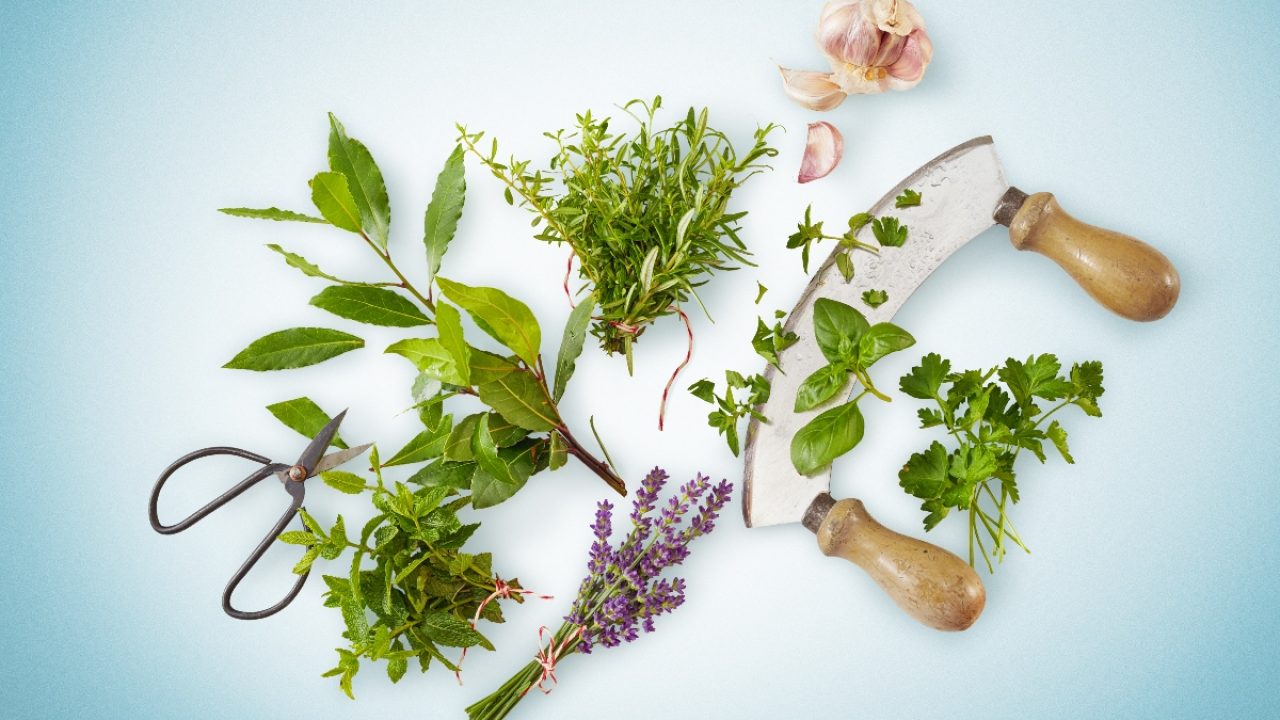 Erbe aromatiche e piante medicinali Metodi efficaci di utilizzo delle erbe aromatiche essiccate per la guarigione naturale la bellezza e la salute