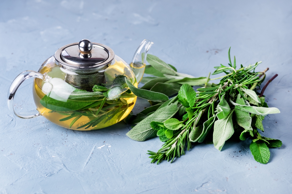 erbe aromatiche: salvia