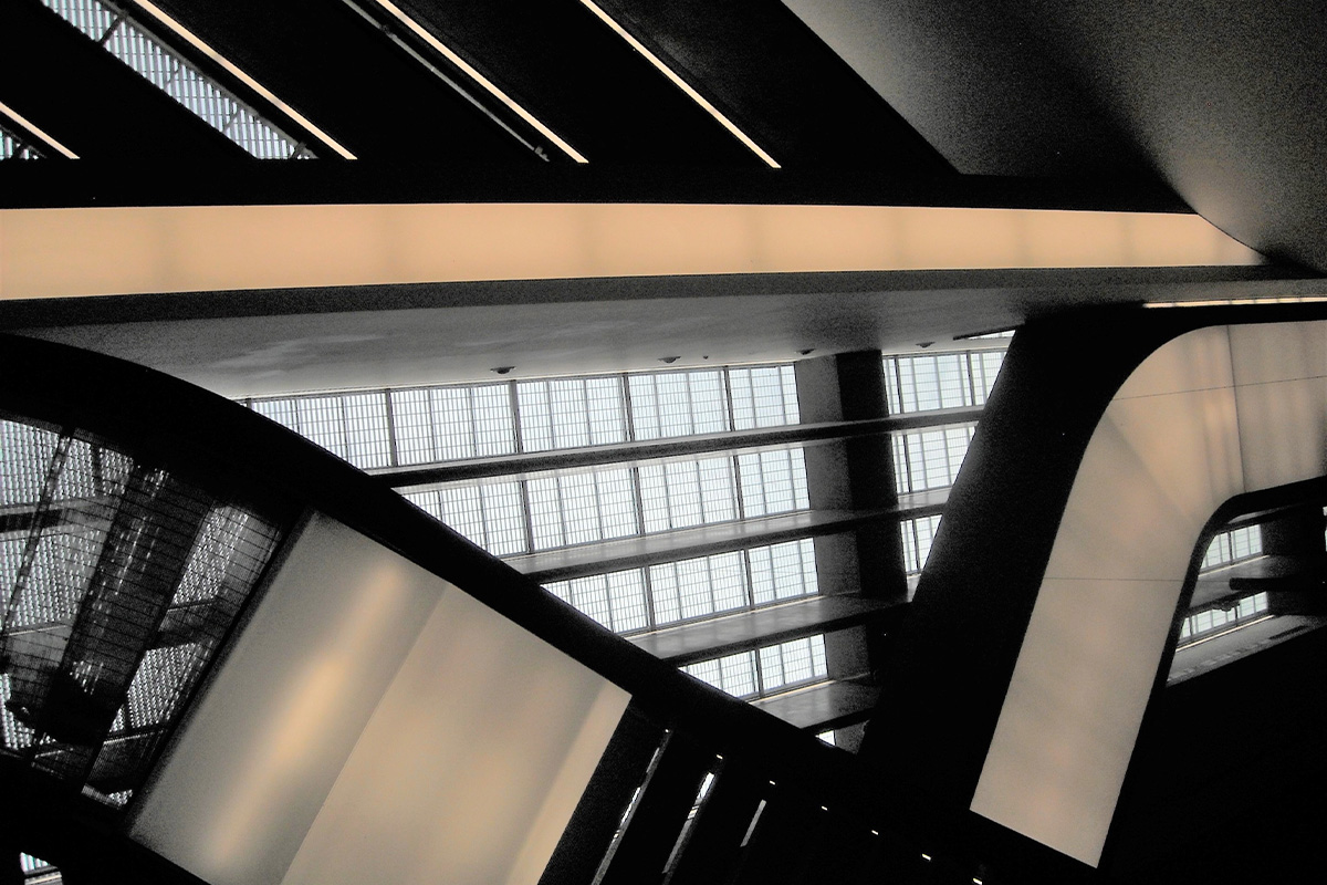 maxxi linee