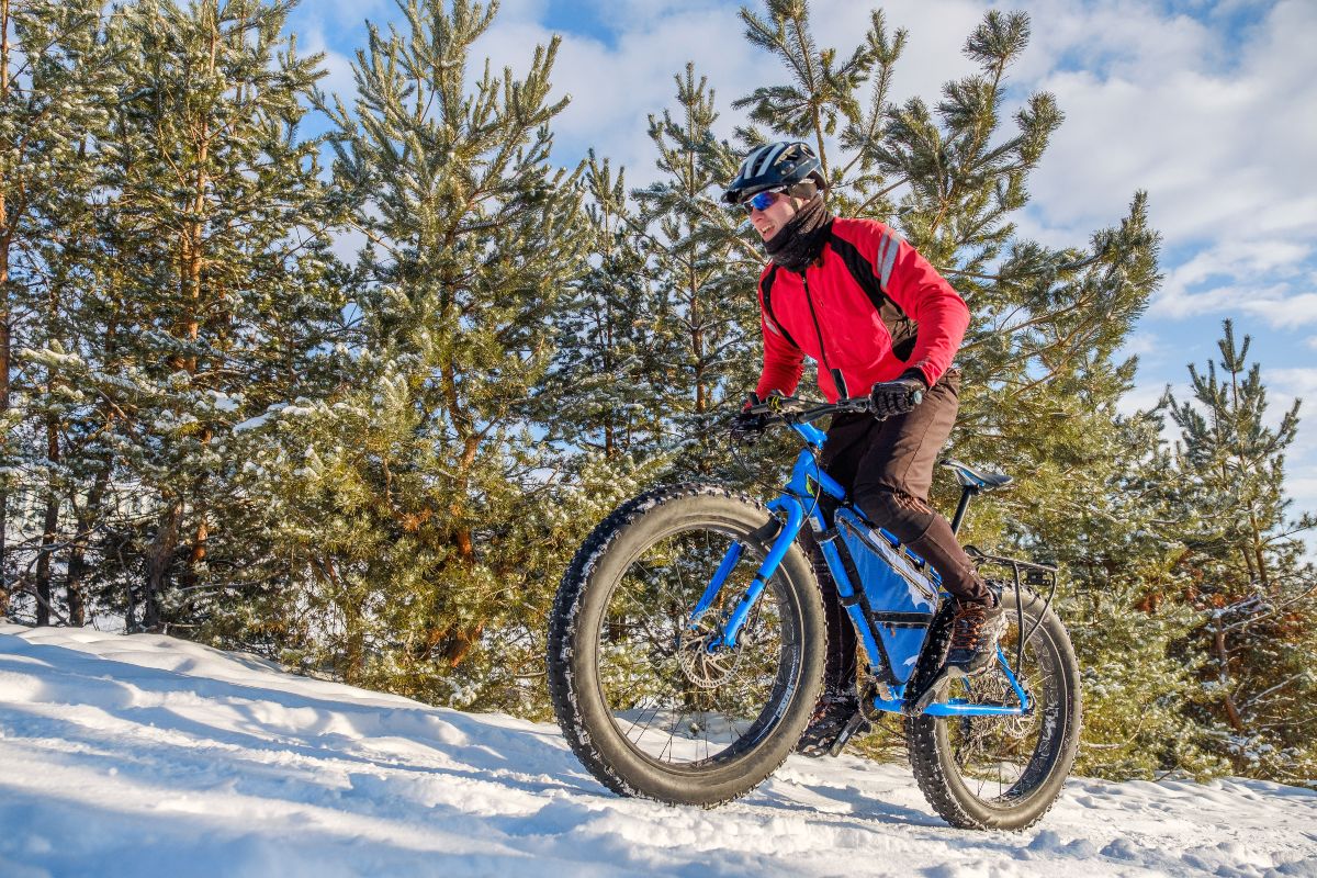 Migliori fat bike: neve