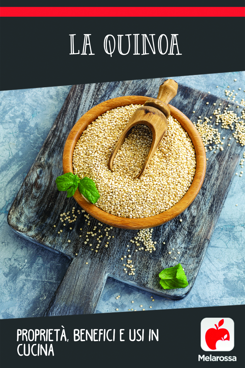 quinoa proprietà benefici usi in cucina
