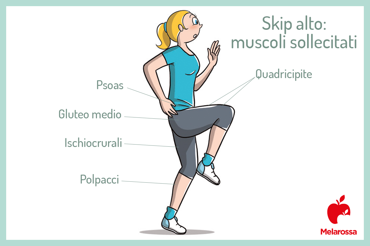 skip alto: muscoli sollecitati