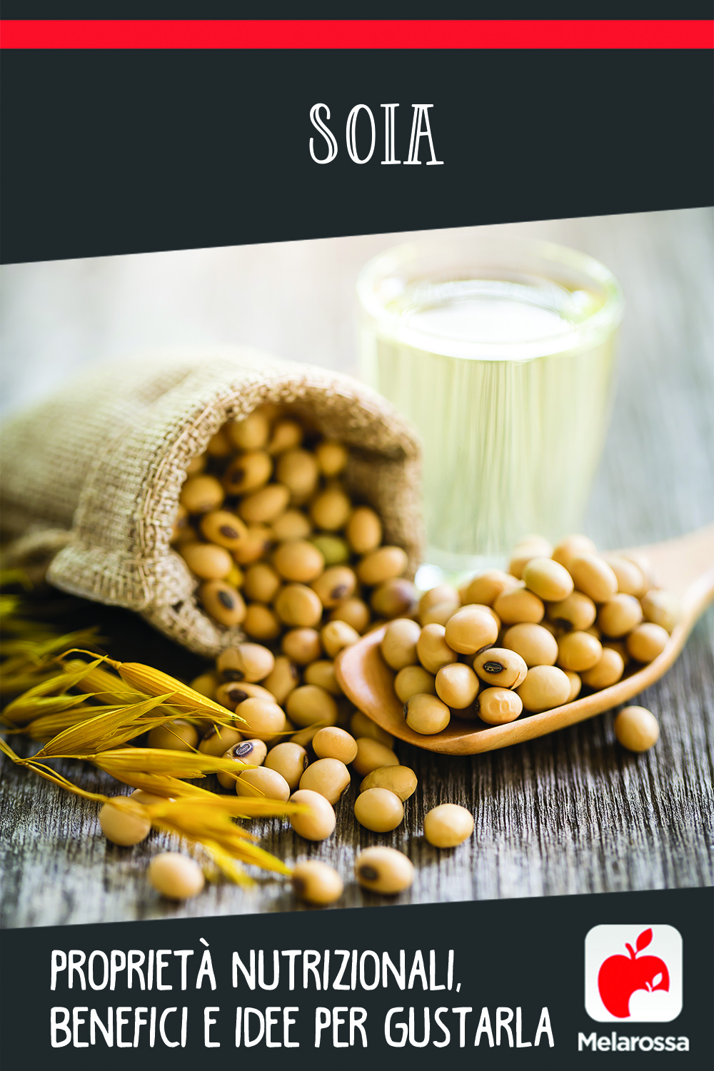 soia: cos'è, proprietà nutrizionali, benefici e ricette