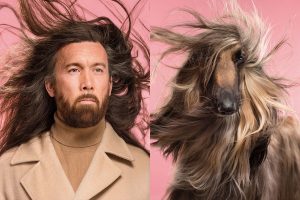 Do You Look Like Your Dog? Gli scatti divertenti di cani e gatti che assomigliano ai loro padroni