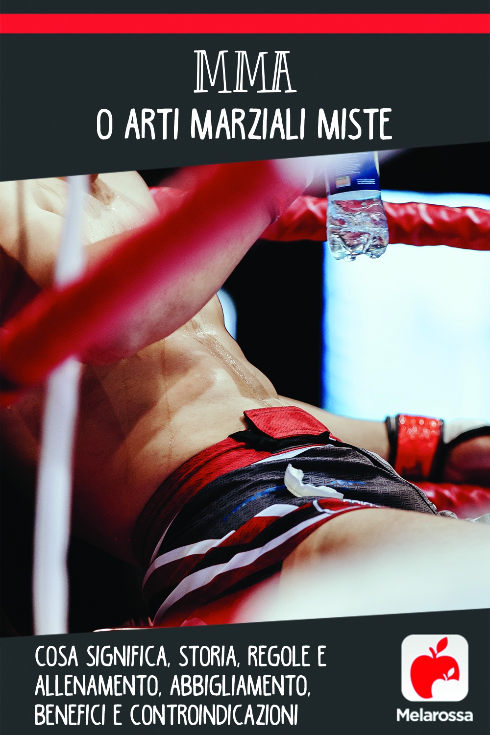 MMA: storia, regolamento. allenamento e benefici