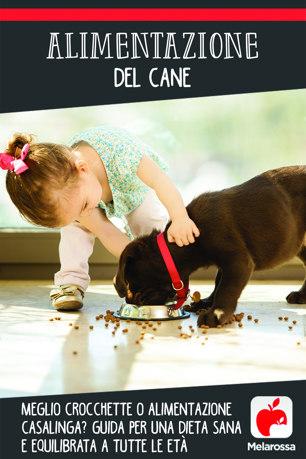 alimentazione del cane: guida per una dieta sana e equilibrata a tutte le età