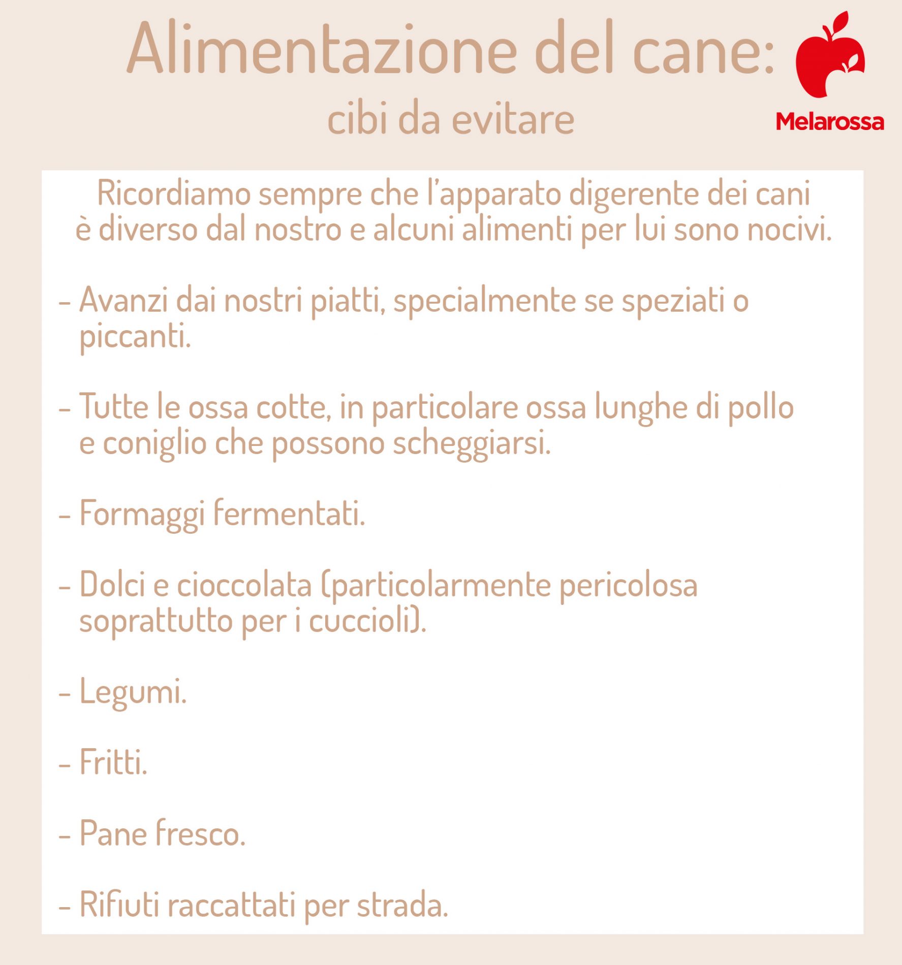 alimentazione del cane: cibi da evitare 