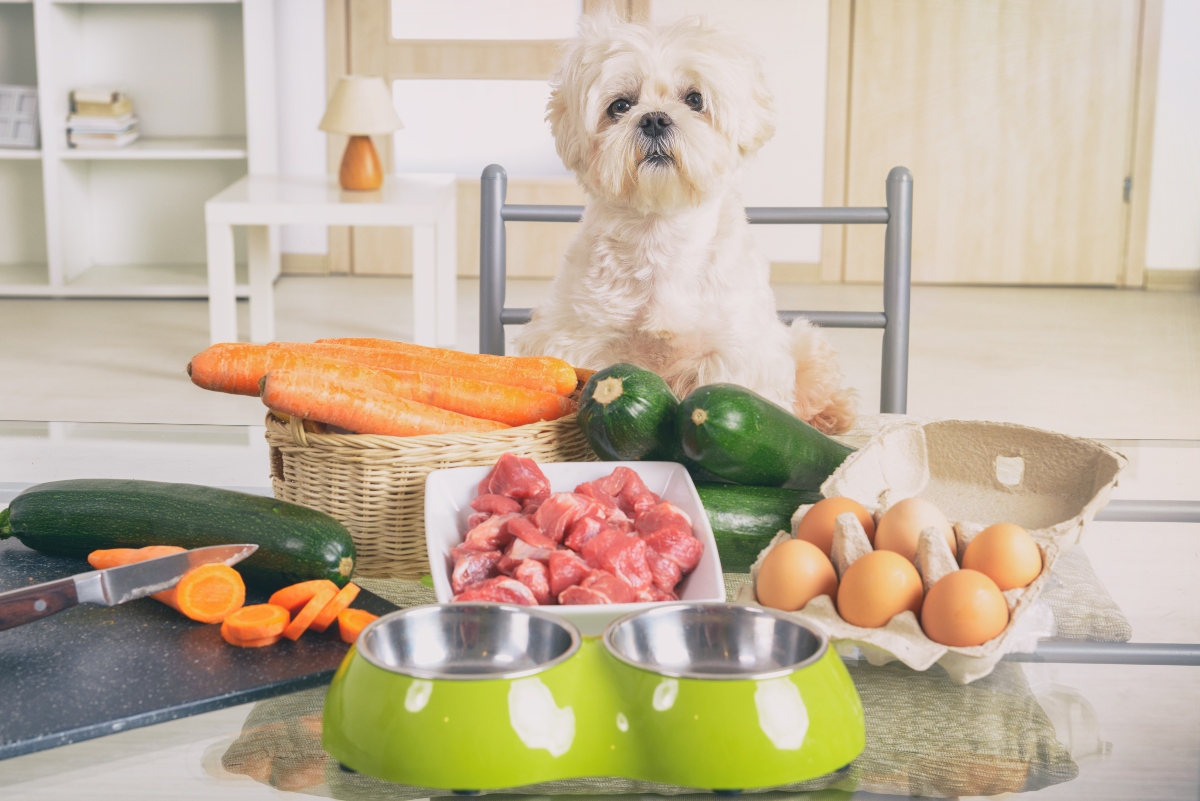 alimentazione del cane: dieta BARF