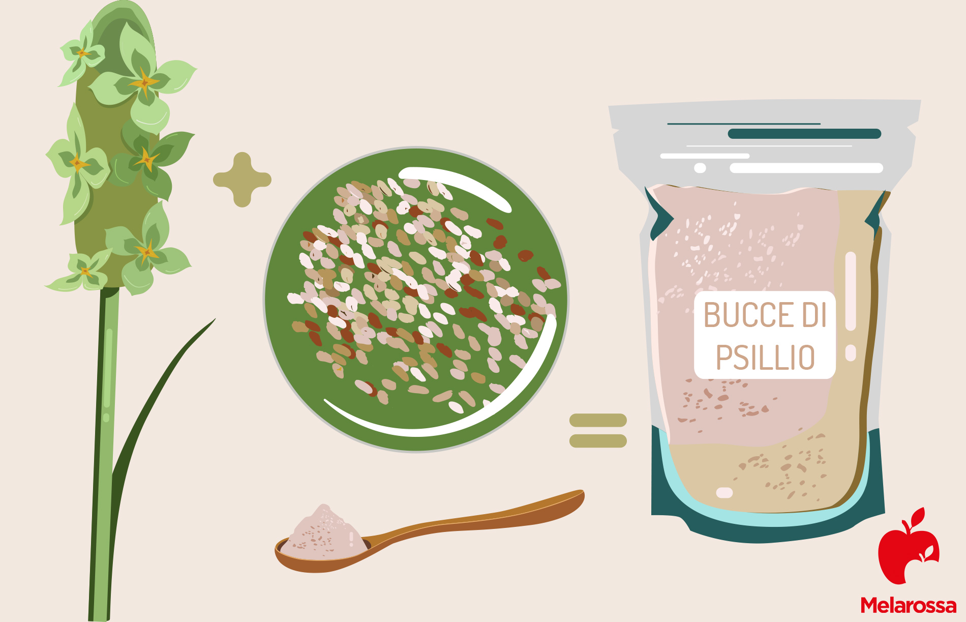 bucce di psillio