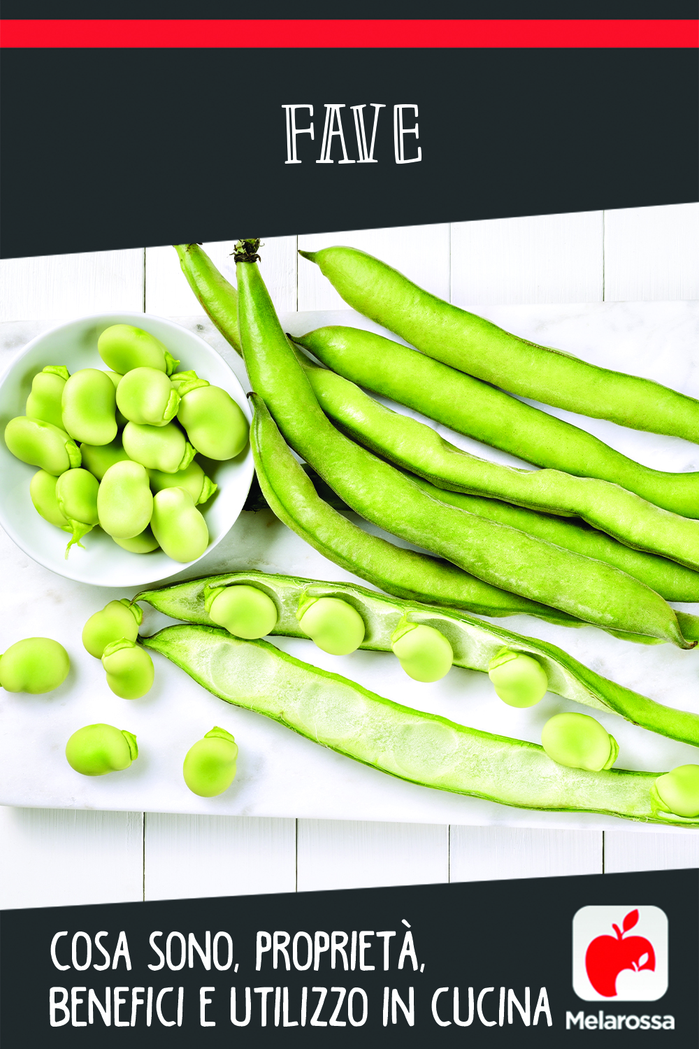 fave: cosa sono, benefici, valori nutrizionali e ricette