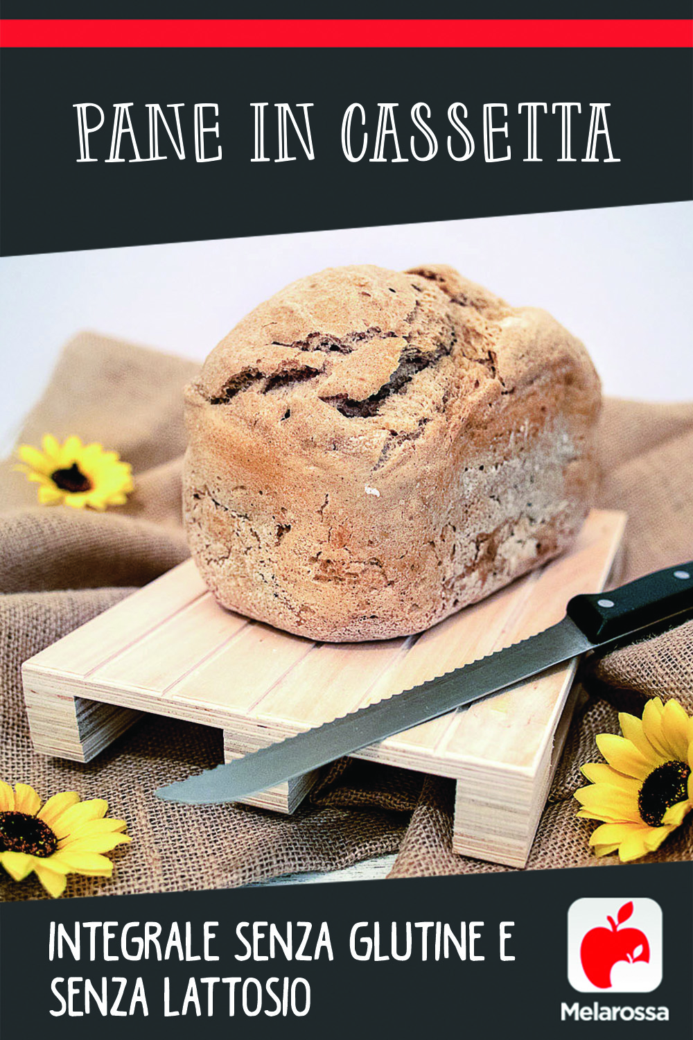 Pane in cassetta integrale senza glutine e senza lattosio