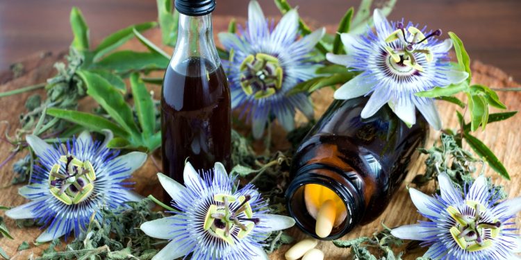 passiflora: cos'è, proprietà, benefici, usi e ricette