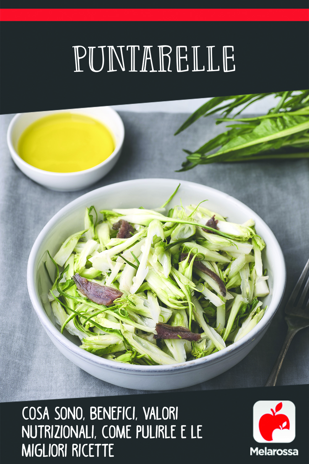 puntarelle: cosa sono, benefici, valori nutrizionali e ricette