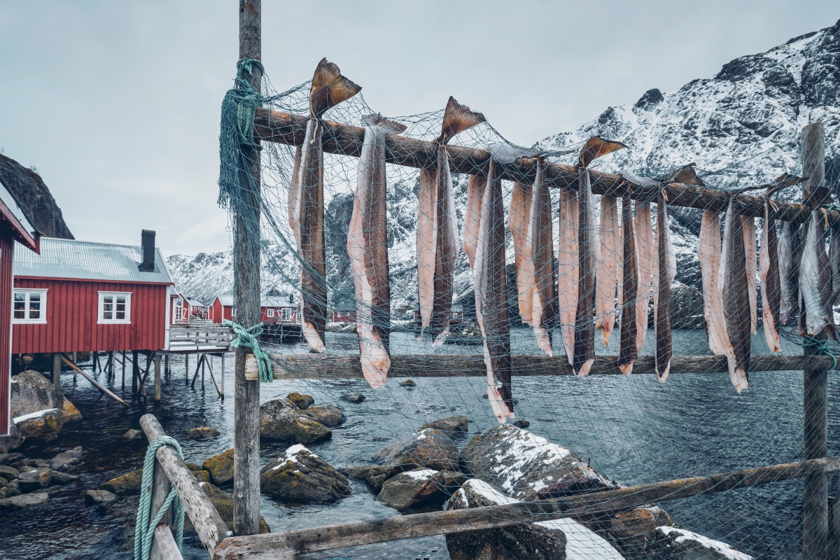 stoccafisso: lavorazione pesce