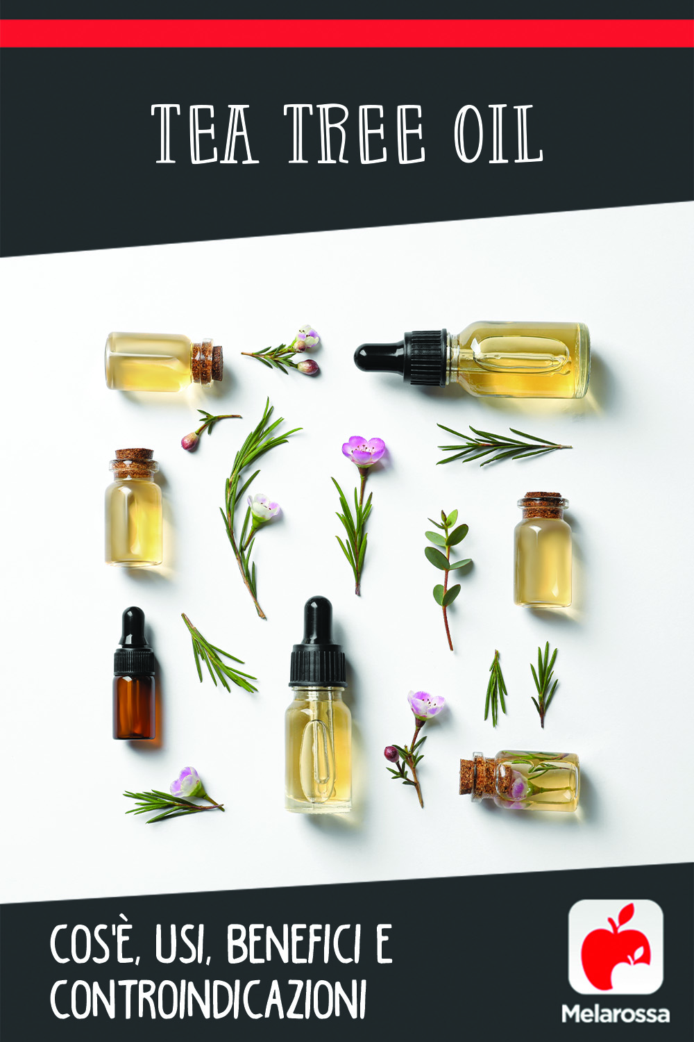 tea tree oil: cos'è, benefici per la pelle e viso, usi per la casa, controindicazioni, i migliori prodotti