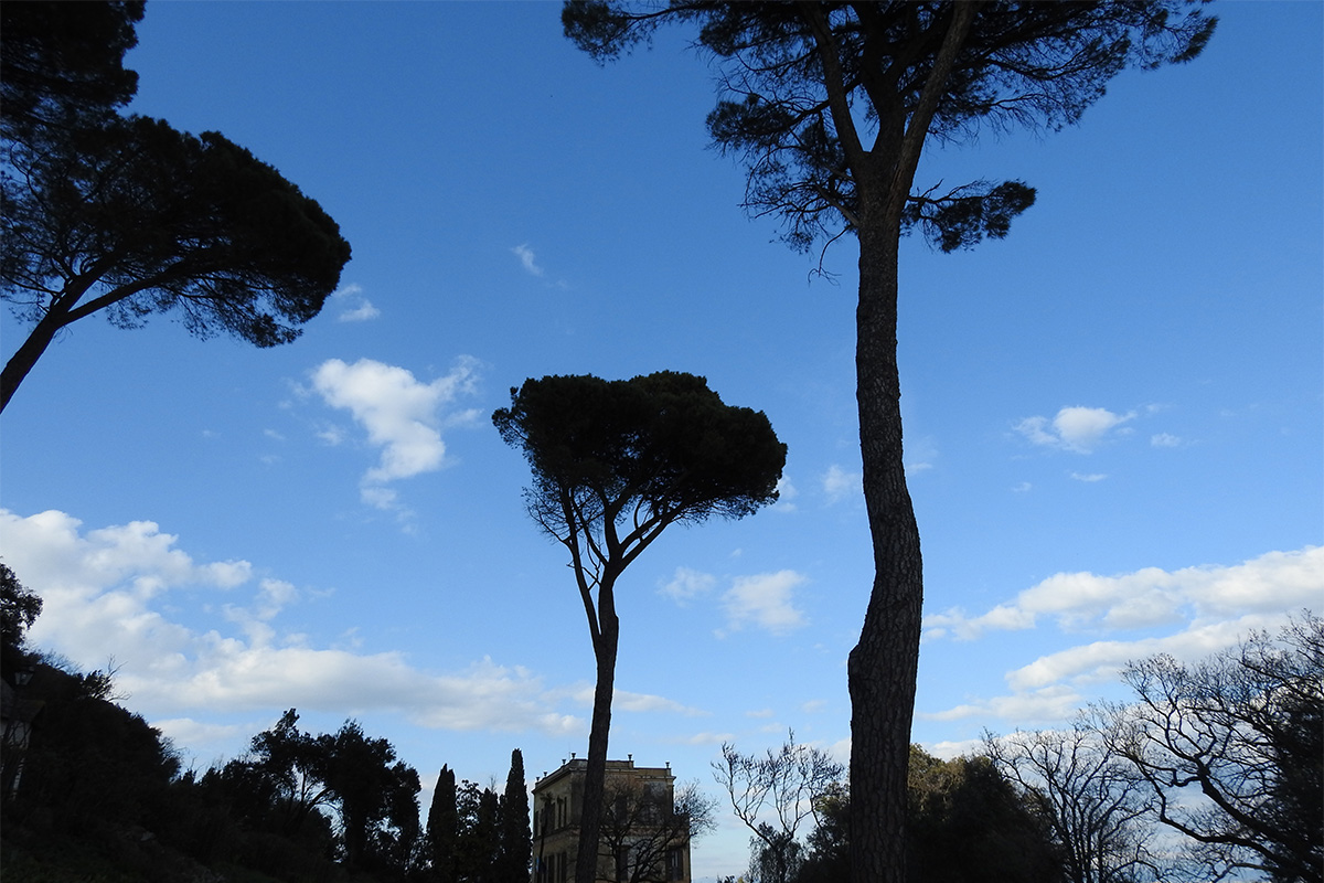 villa mazzanti parco