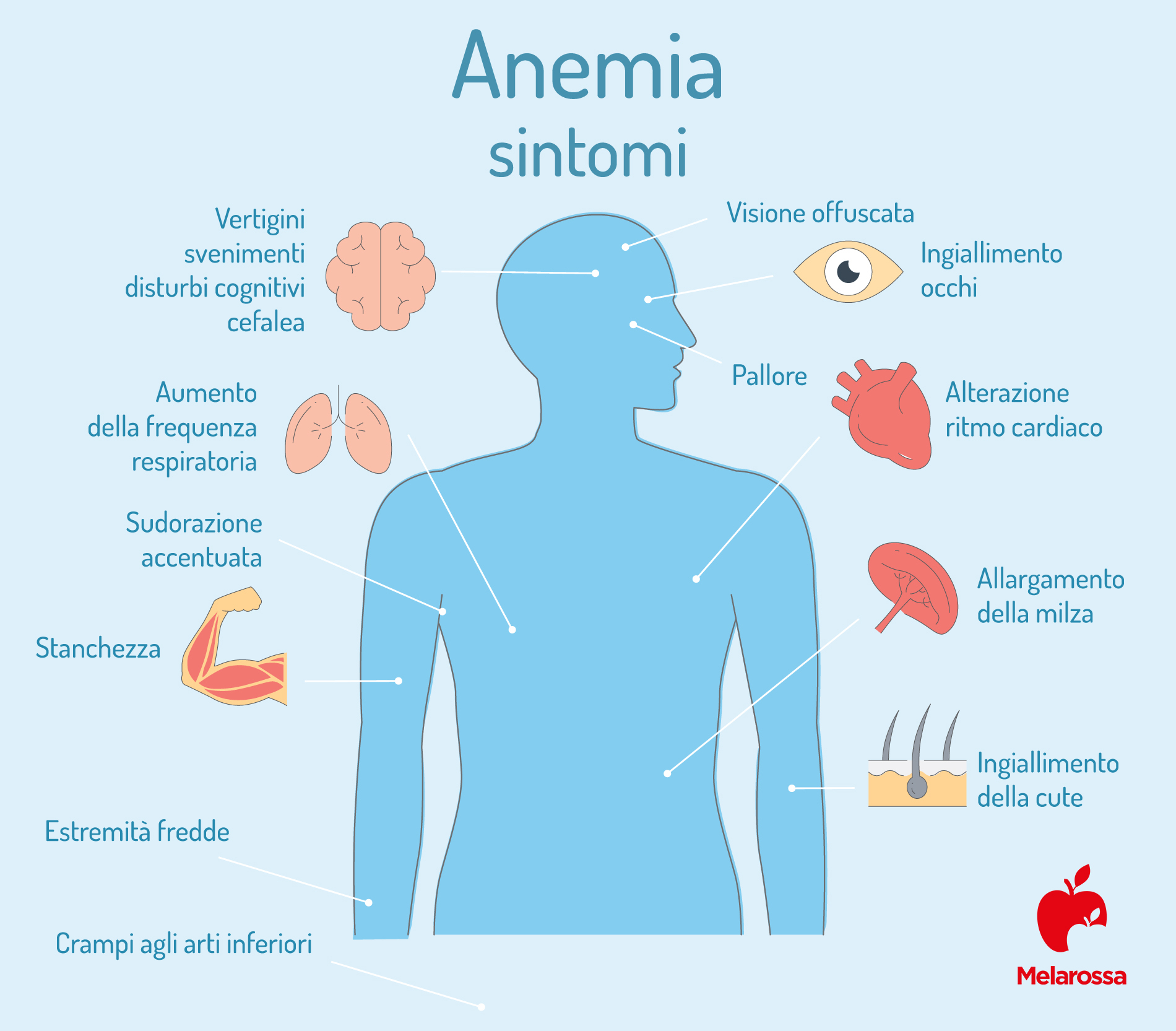 VES: cause dell'anemia