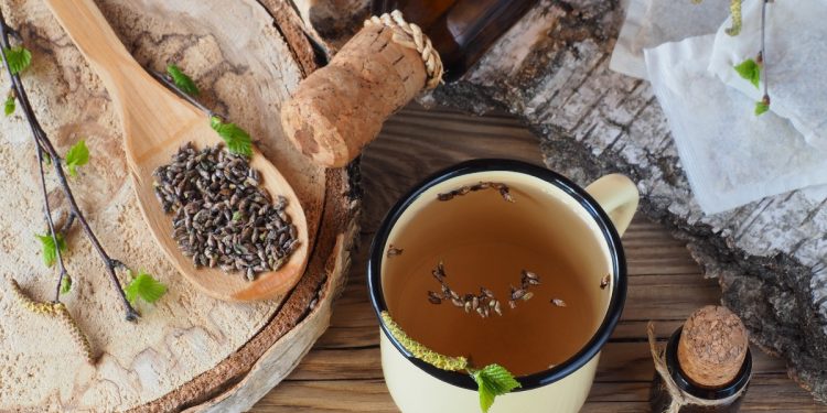 betulla: cos'è, benefici, ricette tisane e olio anticellulite