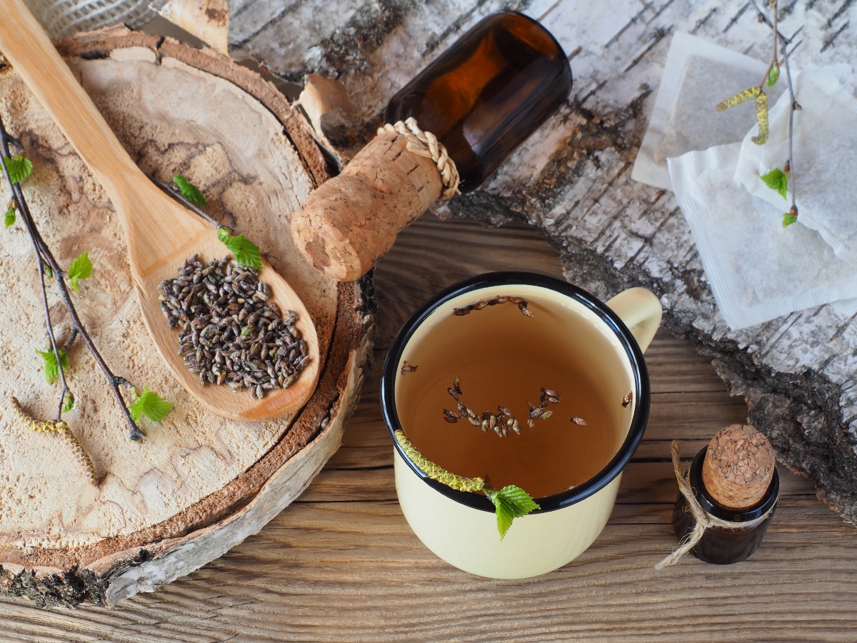 betulla: cos'è, benefici, ricette tisane e olio anticellulite