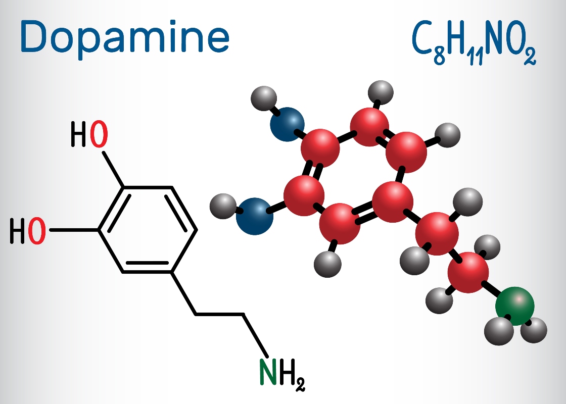 dopamina: cos'è e come funziona