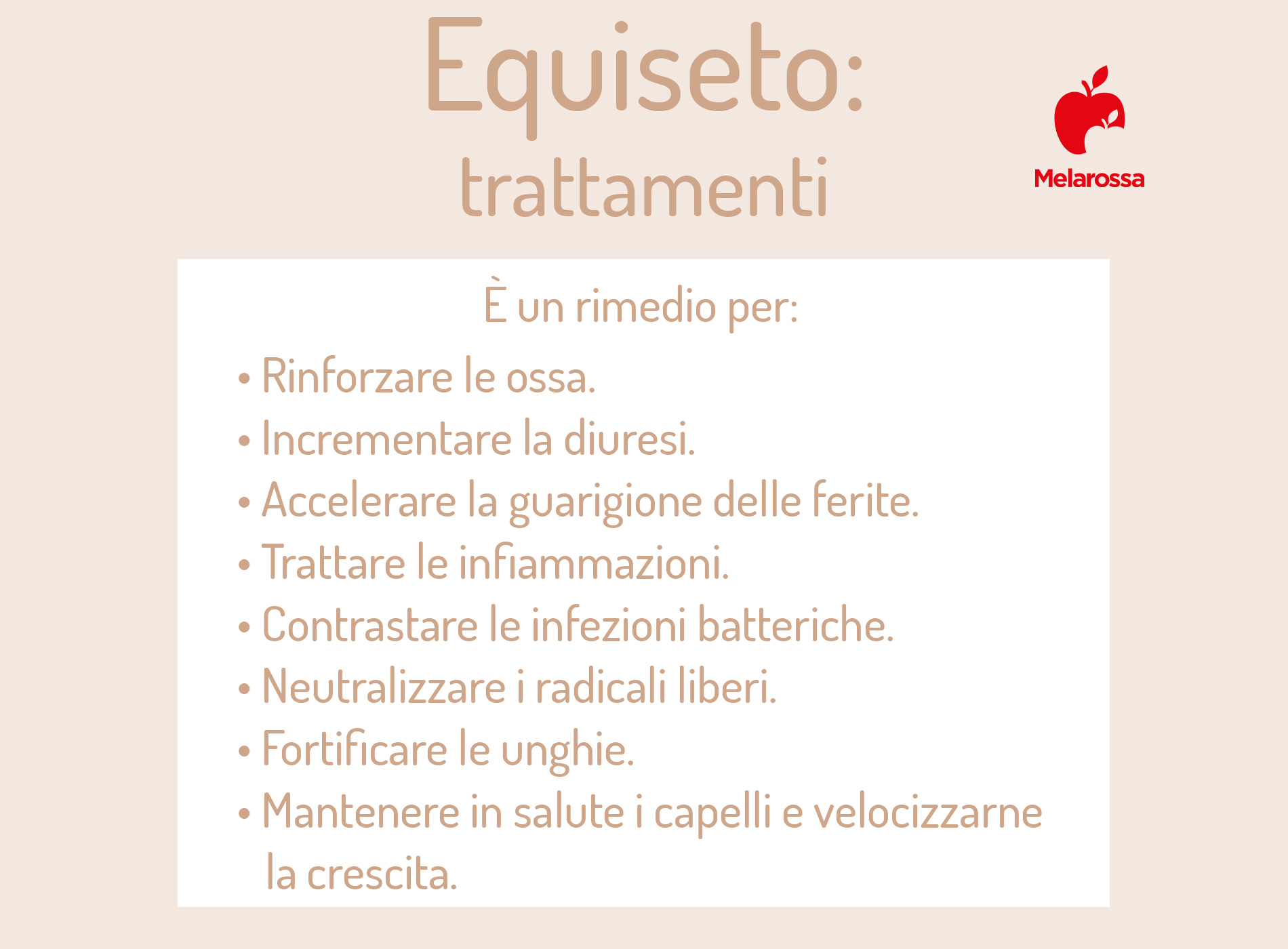 Trattamenti e benefici dell'equiseto