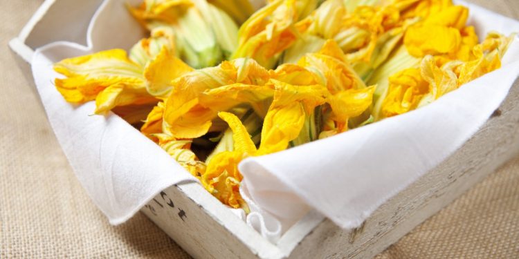 ricette con fiori di zucca dentro un cestello quadrato con un tovagliolo bianco