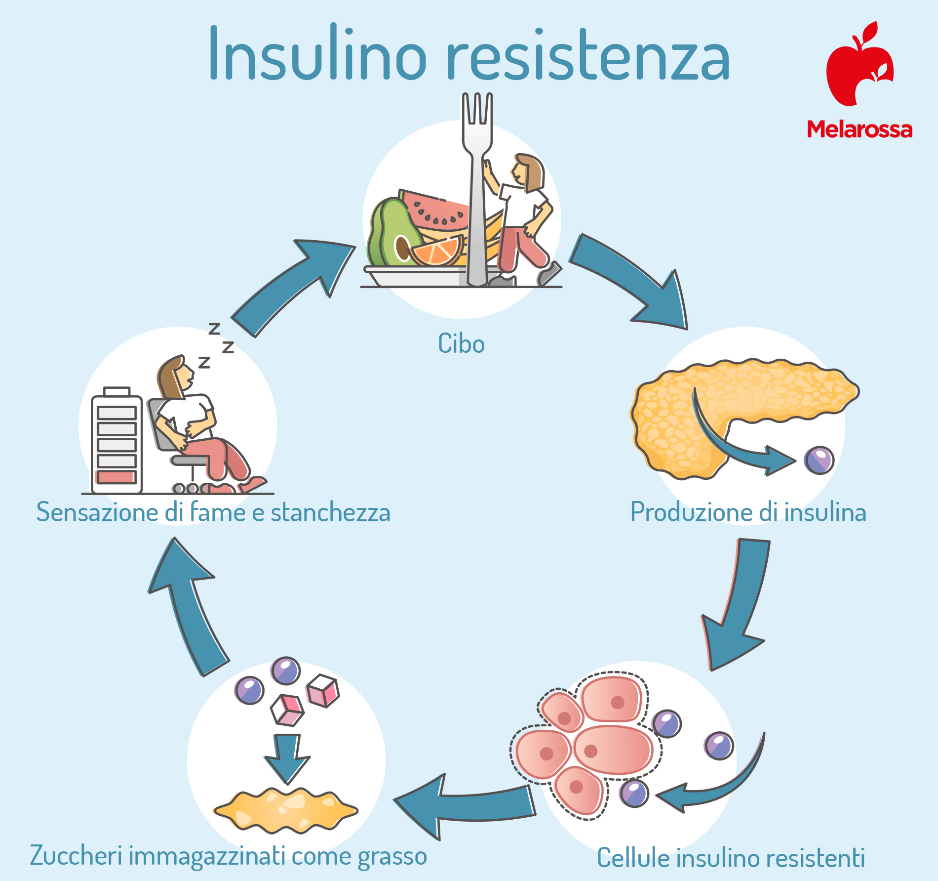 insulino resistenza: cos'è e sintomi 