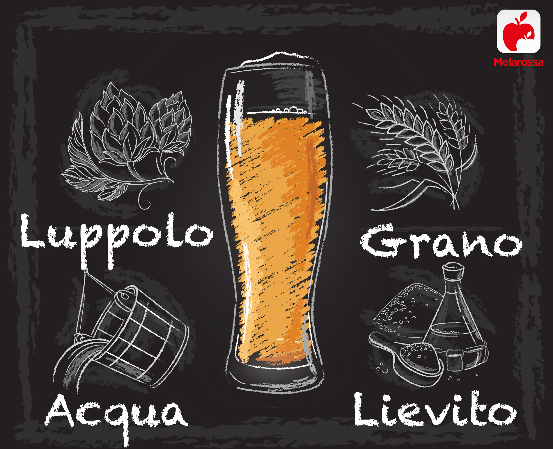 lieviti nella birra