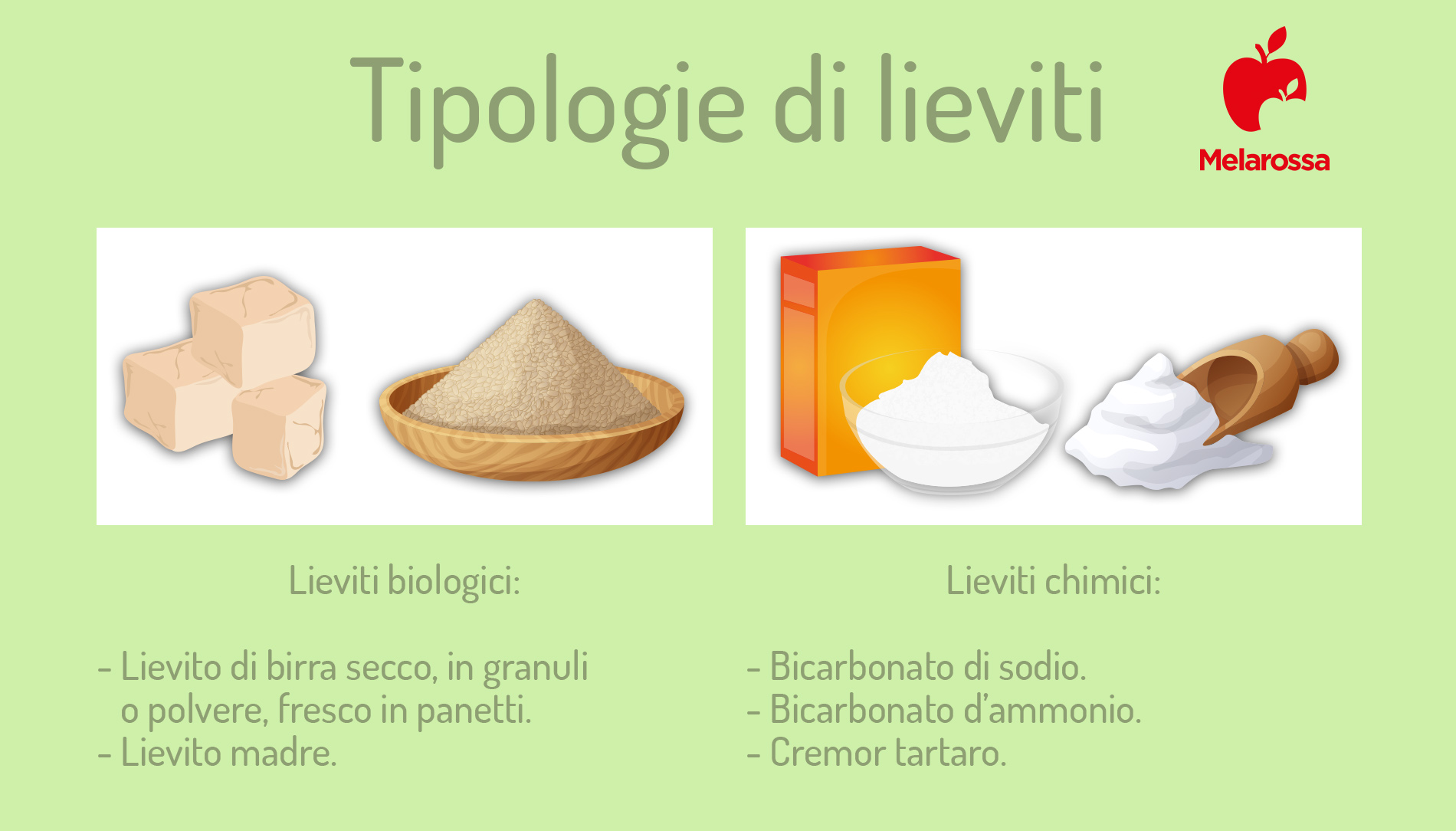 tipologie di lieviti